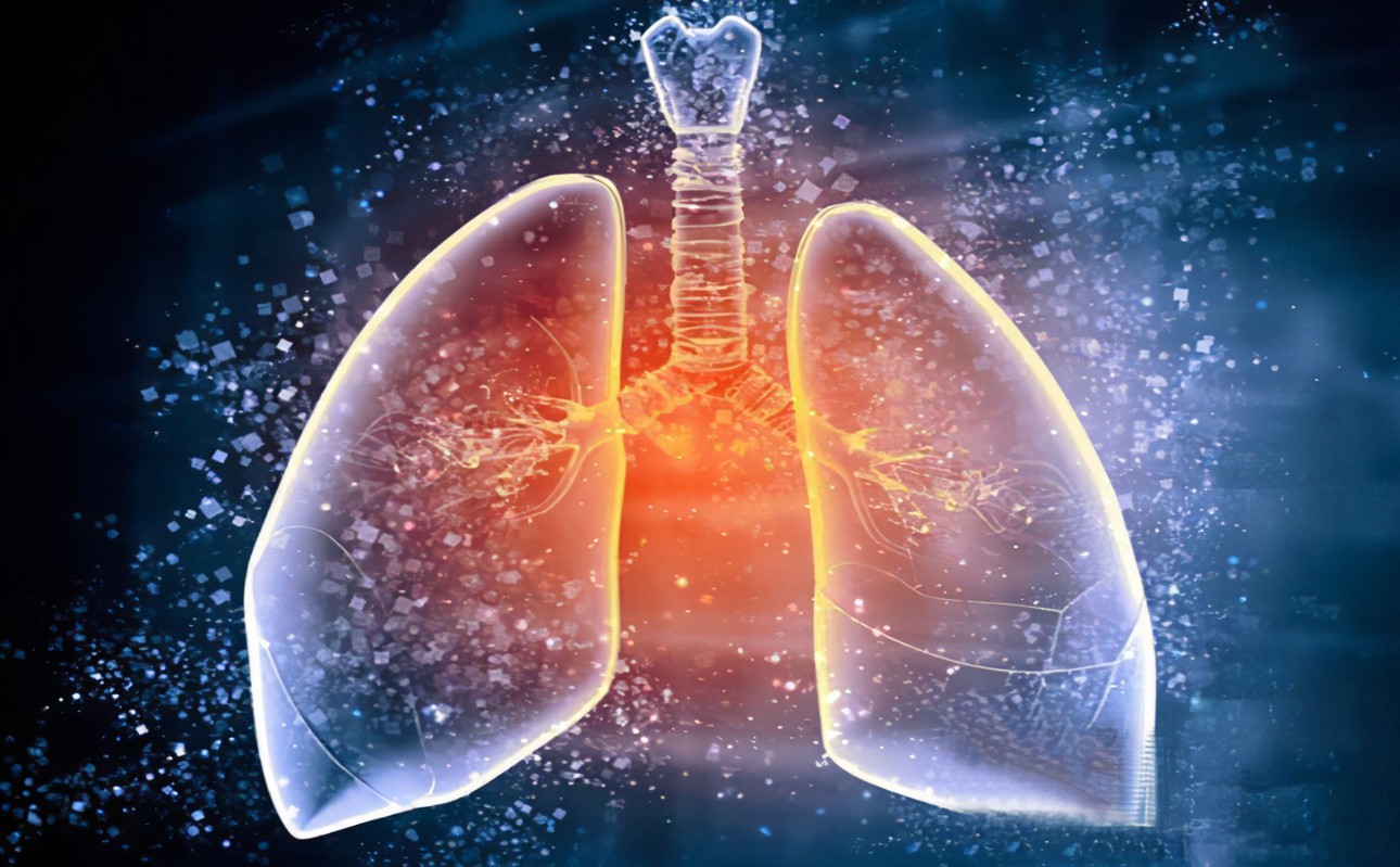 得了肺結(jié)核是全天咳嗽嗎？