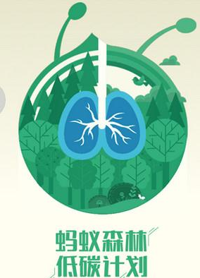 怎樣獲取螞蟻森林能量去種樹，去做公益活動呢？