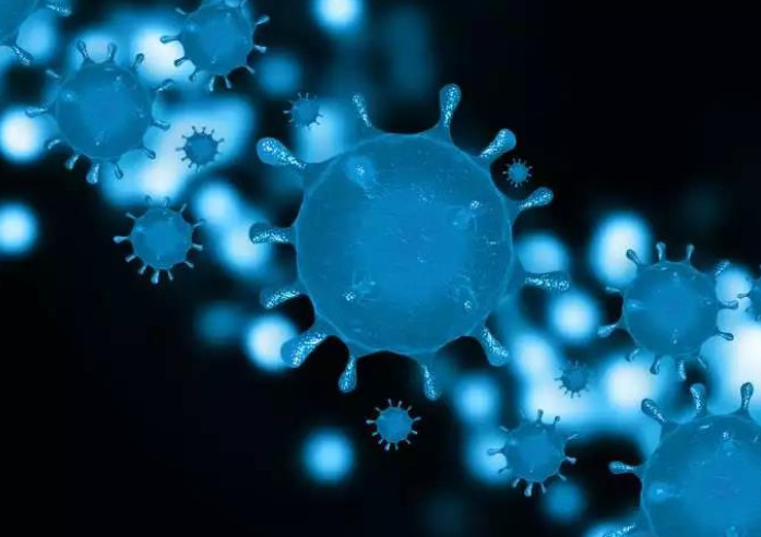 新冠病毒更喜歡脂肪嗎？肥胖人群是不是更容易感染新冠？