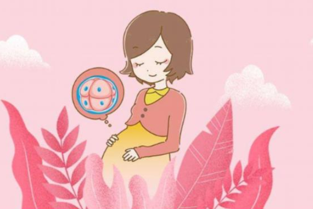 泰國試管嬰兒費用是多少？泰國試管嬰兒成功率高嗎？